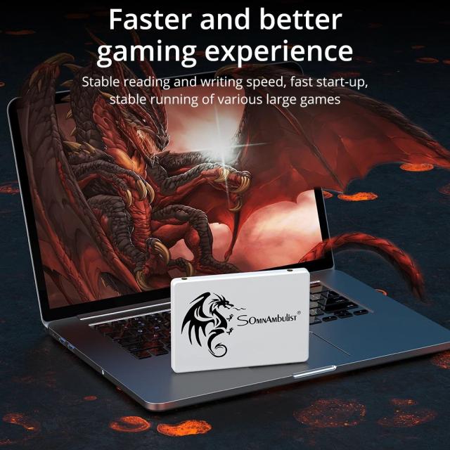 SomnAmbulist SSD 2.5インチ 64GB 128GB 256GB 512GB SATA3 内蔵型 ソリッドステートドライブ 120GB 240GB 480GB ノートパソコン デスクトップPC 対応 輸入品_3