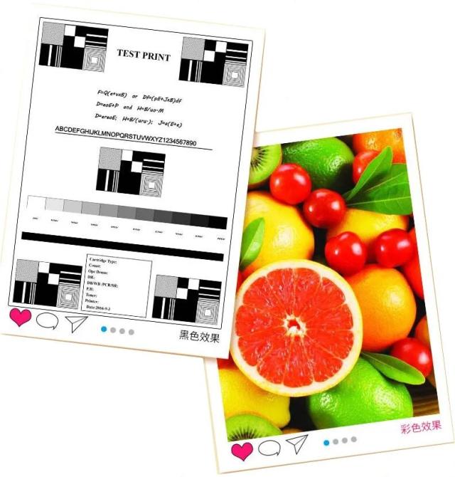 QY6-8001 QY6-8017 キヤノン G3100 プリントヘッド キヤノン ピクシマ G1100 G2100 G3100 G4100 G1110 G1111 G2110 G2111 G3110 G3111 G4110 G4111 対応 輸入品_13