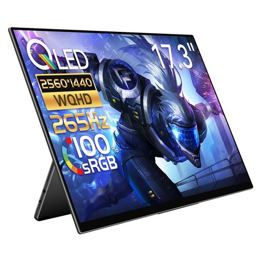 EHOMEWEI モバイルモニター 265HZ 17.3インチ SWITCH 2 ドック不要 QLEDパネル ゲーミングモニター ポータブルモニター 1MS 2560X1440 2K デジタルシネマ規格 FREESYNC 軽量 薄型スピーカー内蔵