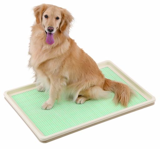 ボンビアルコン (BONBI) しつけるトレー XL メッシュタイプ PP