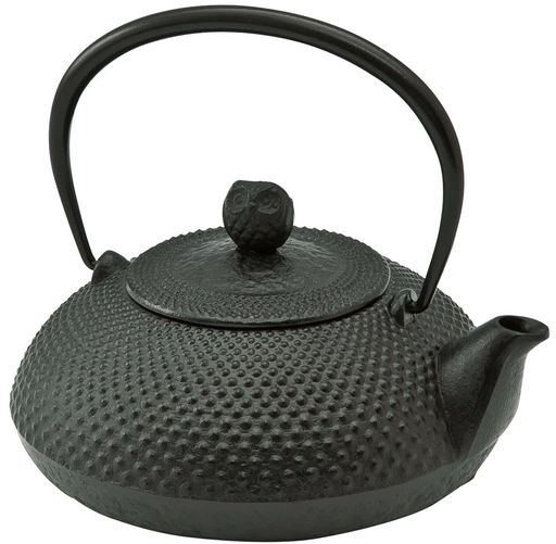 池永鉄工(IKENAGAIRONWORKS)鉄瓶0.6L南部鉄器やかん鉄分補給宝寿日本製 9,622円