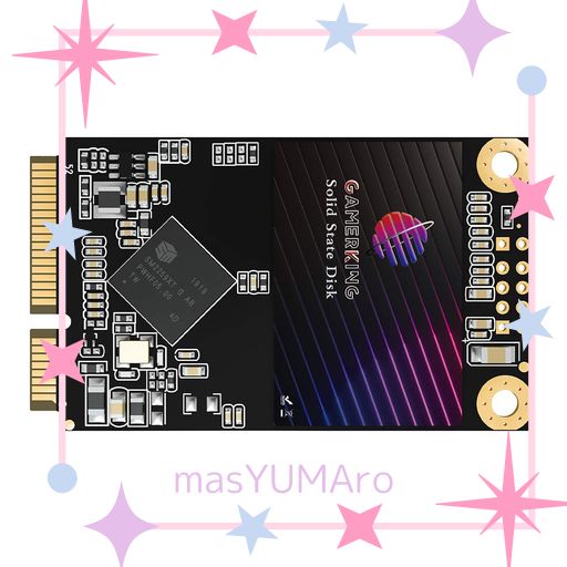 GAMERKING MSATA SSD 1TB SATA III 6GB/S NGFF 内蔵型 SOLID STATE DRIVE ハードドライブ 高性能ハードドライブノート/パソコン/デスクトップ適用 ソリッドステートドライブ 3年保証SSD 64GB