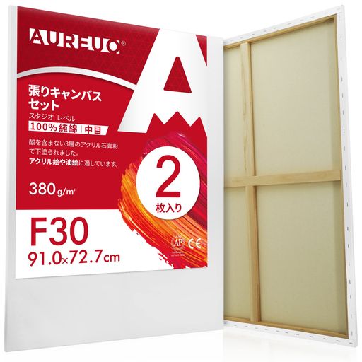 AUREUO 張りキャンバス セット F30 (91.0CMX72.7CM) 中目 100%コットン 2枚 初心者 絵画用具 芸術絵創作 現代油絵 美術装飾 水彩画・油絵画・アクリル兼用