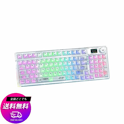 OUSEITECH F98PRO ゲーミングキーボード 透明キーボード ホットスワップメカニカルキーボード テンキー ワイヤレス 透明キーキャップ RGBバックライト 95キー ANDROID/OS/MAC/WINDOWS対応