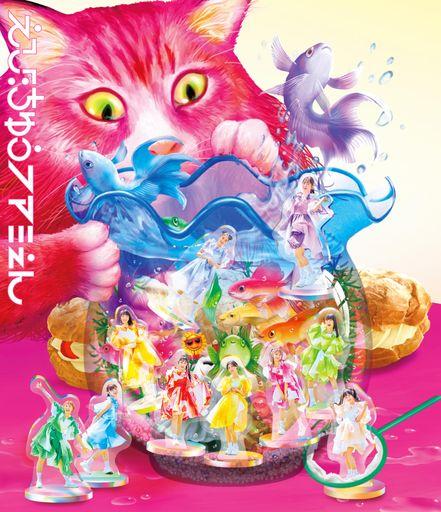 エビ中 夏のファミリー遠足 略してファミえん IN 山中湖 2023 (通常盤) (2BD) [BLU-RAY]