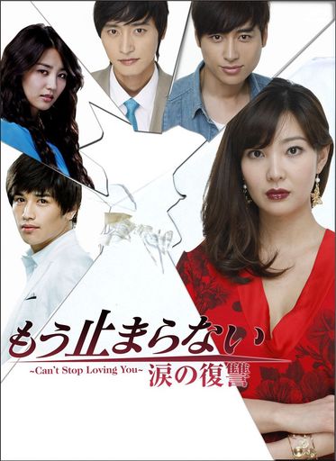 もう止まらない ~涙の復讐~DVD-BOX1 17,120円