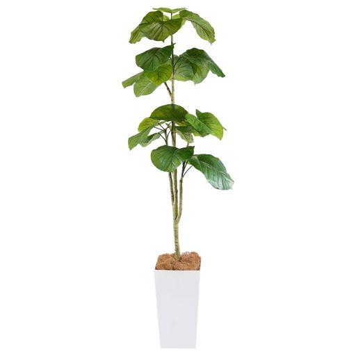 BOTANICAL LIFE+ フェイクグリーン 観葉植物 光触媒 大型 消臭 抗菌 ウンベラータ 160CM Kシリーズ