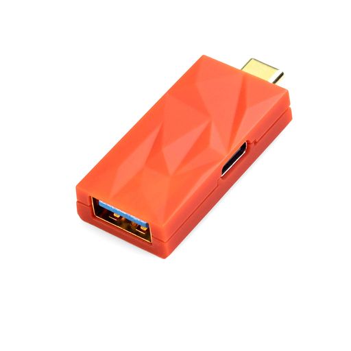 IFI AUDIO IDEFENDER+CA ハムノイズ軽減アクセサリー【国内正規品】