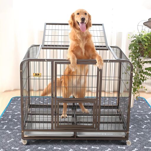 TITISNUGY 洗えるペットシーツ ペット用おしっこマット 【ブルー縁ガイド!】 大型犬・猫用トイレマット 大判サイズ 多頭飼育&ケージ下敷きに最適 スーパーワイド 四重構造で漏れ防止/滑り…