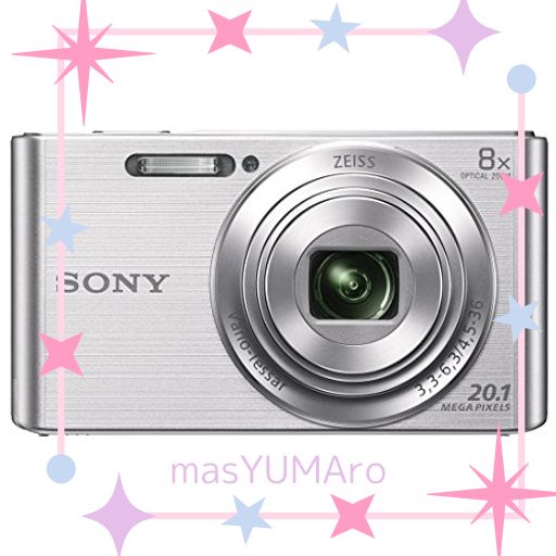 SONY(ソニー) コンパクトデジタルカメラ CYBER-SHOT DSC-W830 しろがね色 光学望遠レンズ8倍(25-200MM) パウダーコンパクト上半身 DSC-W830