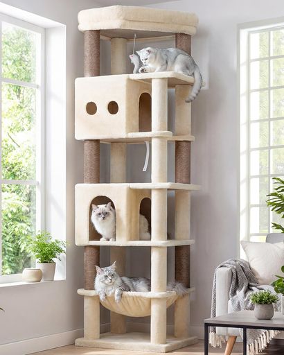 GLOBLAZER キャットタワー 大型猫用 多頭飼い 高さ173CM 付き 猫ハウス2つ ハンモック コーナー 省スペース ベージュ F67