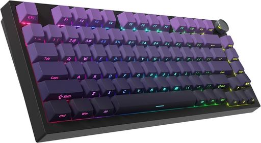 WOMIER WK75 ゲーミングキーボード、75%ワイヤレスメカニカル、BT5.0/2.4GHZ/USB-C、ホットスワップ対応、事前潤滑済みリニアスイッチ、ガスケット構造、RGBバックライト、トポグラフィック (パ…