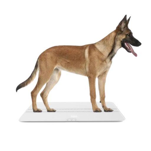 大型犬用の体重計, ペット 体重計, ペットスケール (サイズ:70X 33 CM)充電式,対象:犬、猫、成人の体重管理