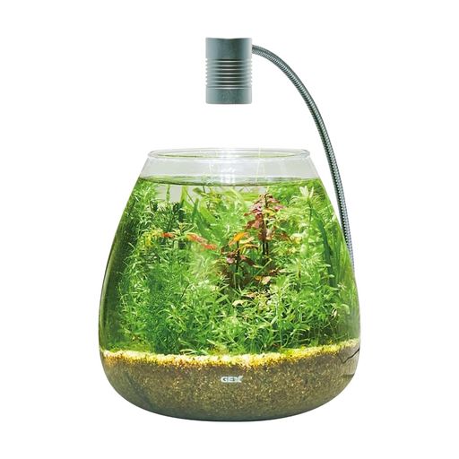 ジェックス MEGREEN 新鮮な水草付き グラスアクアティアーセット たっぷりの水草(別送)が届く水槽セット LEDと砂付き 幅20×奥行20×高さ20CM 約4L