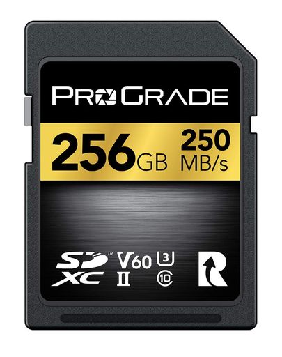 PROGRADE DIGITAL SDXC UHS-II V60 GOLD 256GB メモリーカード プログレードデジタル 正規輸入品【AMAZON.CO.JP限定】