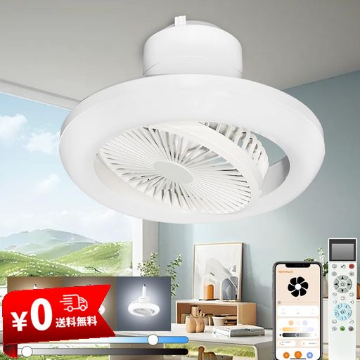 【正逆回転・2025？化版】スマートスピーカー対応 遠隔操作 シーリングファンライト 20W 4000LM 首振り 北欧 おしゃれ 寝室 小型 ファン付きDCモーター 静音 天井ライト 8~12畳 吊り下げ照明 …