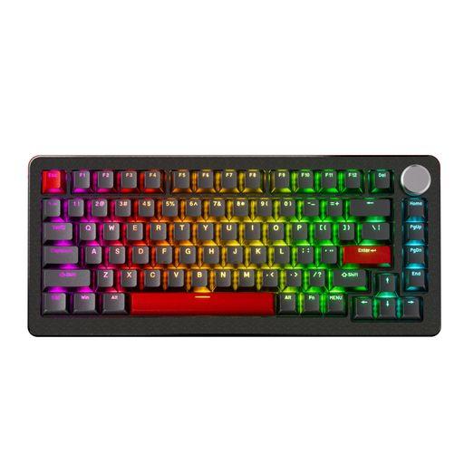 ARCHISS キーボード ProgresTouch RETRO TKL AS-KBPD91/SRBKN 静音赤軸