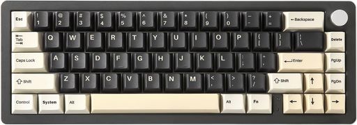 YUNZII AL66 ゲーミングキーボード ワイヤレス メカニカル アルミ製 65% ノブ付き BLUETOOTH/2.4G/有線 ホットスワップ対応 ガスケット搭載 潤滑済みスイッチ RGB WIN/MAC用 技適認証取得(ミルクスイ…