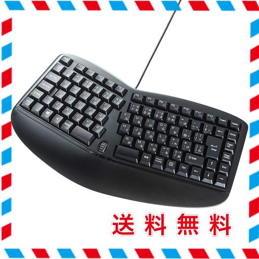 サンワサプライ エルゴノミクスキーボード 有線 USB接続 メンブレン 日本語109A配列 SKB-ERG3BK