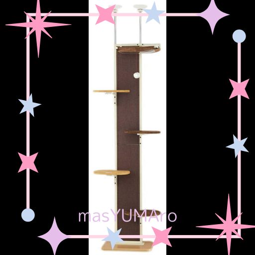 ボンビアルコン (BONBI) キャットウォーク モダン