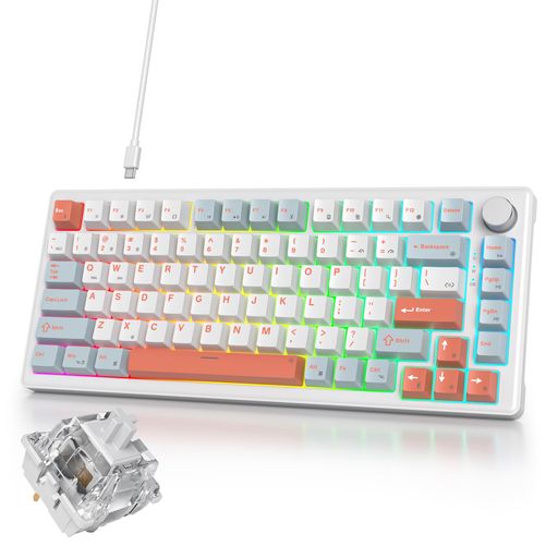 USSIXCHARE ブルーメカニカルキーボード 有線|キーボード ゲーミング|ボリュームノブ搭載|ゲーミングキーボード 75%カスタム|ガスケットマウント構造・RGBバックライト・ソフトウェア対応|CH…