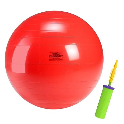 ギムニク(GYMNIC) ギムニク 55 赤 イタリア製 [2点セット] (バランスボール・ダブルアクション ハンドポンプ)