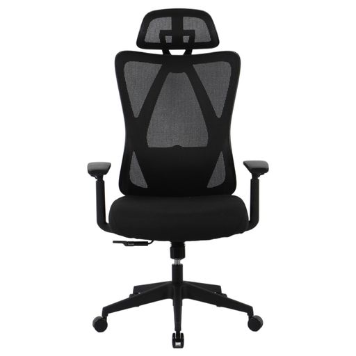 FLEXISPOT オフィスチェア デスクチェア C5 多機能調節 ロッキング機能 固定可能 強弱調節可能 2Dランバーサポート メッシュ素材 肉厚座面 3Dアームレスト 2Dヘッドレスト 在宅勤務 (ウレタン,…
