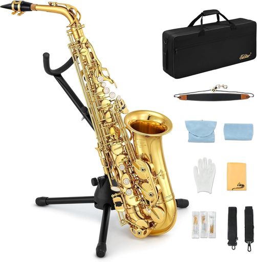 EASTAR サックス アルトサックス EB SAXOPHONE ゴールドラッカー サクソフォン ケース付き お手入れセット サックス 初心者 AS-II