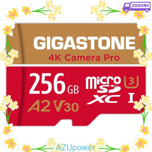 【5年データ復旧・無償交換保証】GIGASTONE マイクロSDカード 256GB 4K CAMERA PRO MICROSDXC UHS-I A2 V30 U3 C10 100MB/S ULTRA HD 4K ビデオ録画 GOPRO インスタ360