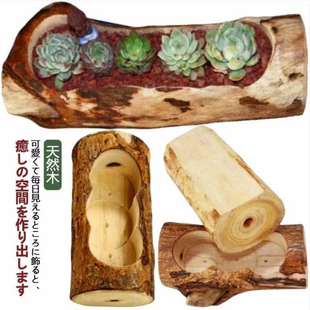 鉢 長方形 寄せ植え ハオルチア 植木鉢 エケベリア 多肉 多肉 多肉植物 観葉植物 鉢植え 室内 屋外 セダム 小さい 苔玉 サボテン 底穴あり フの通販は