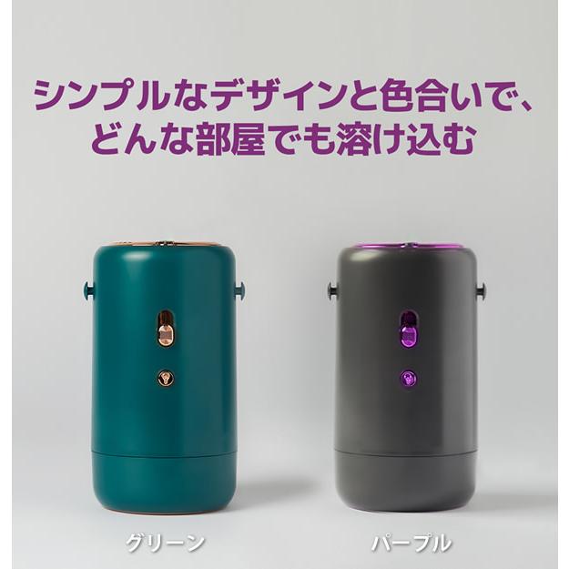 携帯型多役立つことミニかわき切る機 (貨物輸送無料) かわき切る機 携帯型 洗い濯ぎ 雨季 花粉 室内干し 下穿き ソックス 靴 愛玩動物 布団 御召しもの 雨 UV 軽さ 飾り気の無い 出張