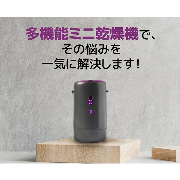 携帯型多役立つことミニかわき切る機 (貨物輸送無料) かわき切る機 携帯型 洗い濯ぎ 雨季 花粉 室内干し 下穿き ソックス 靴 愛玩動物 布団 御召しもの 雨 UV 軽さ 飾り気の無い 出張
