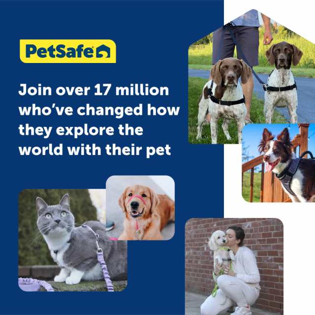 PetSafe イージーウォークハーネス (L, ロイヤルブルー＆ネイビー)