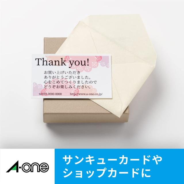 エーワン 名刺 マルチカード 5000枚分 51191