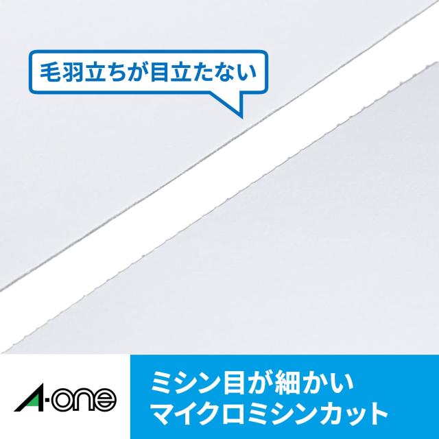 エーワン 名刺 マルチカード 5000枚分 51191