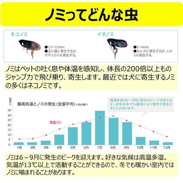 アース・ペット アース 電子ノミとりホイホイ 取り替え用粘着シート3枚入(猫/犬 用)の通販はau PAY マーケット - famille | au  PAY マーケット－通販サイト