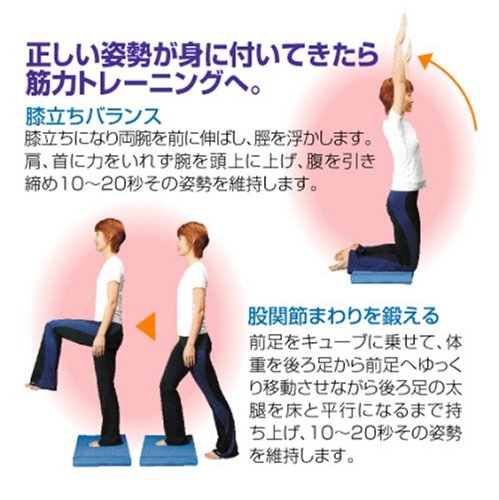 秦運動具工業 バランスキューブ TCB105の通販は
