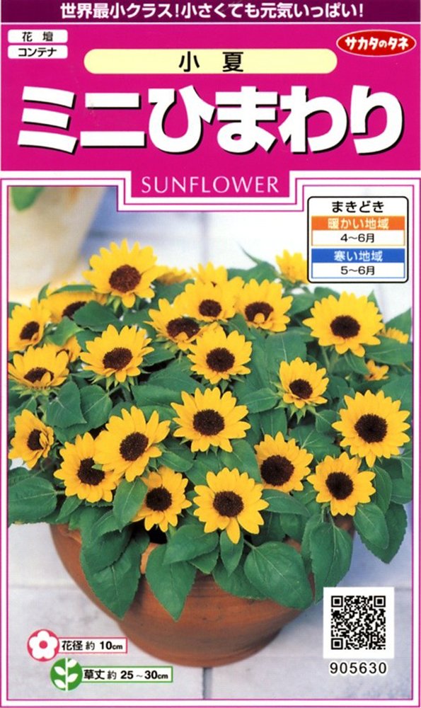 サカタのタネ 実咲花5630 ミニひまわり 小夏 00905630の通販はau PAY