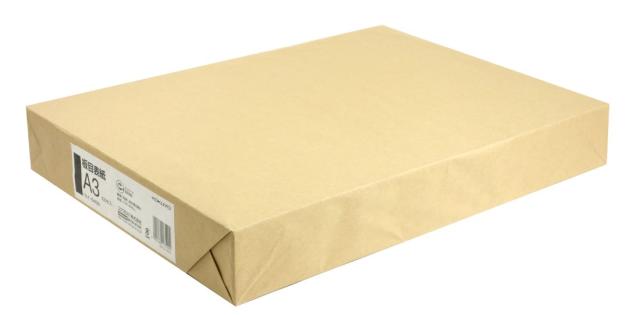 コクヨ(KOKUYO) 板目表紙 A3 100枚 セイ-845