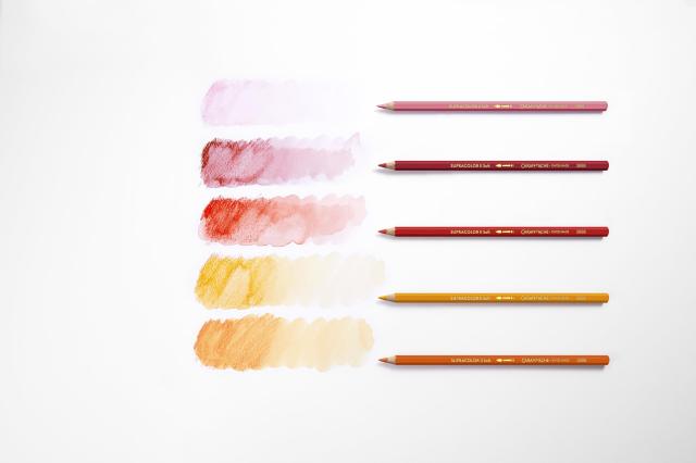 カランダッシュ スプラカラーソフト 120色 3888-420