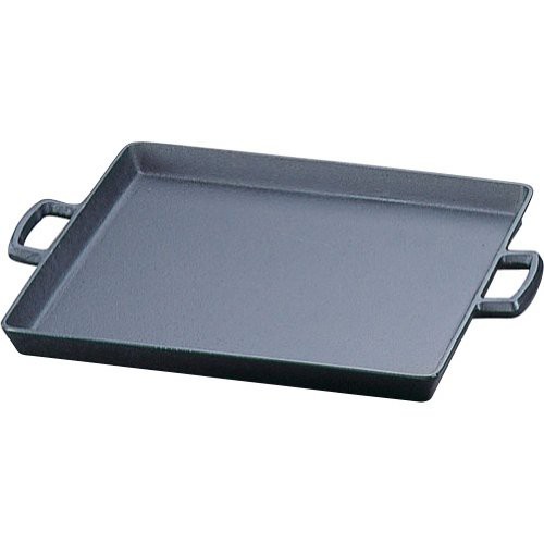 岩鋳 Iwachu オイルプレート(大) 黒焼付 内寸30×27cm 直火用 南部鉄器 23013の通販は