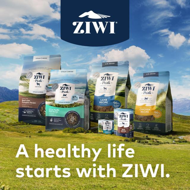 ZIWI エアドライドッグフード ラム 1kg 自然食_8