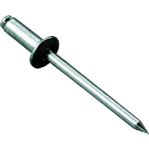 ロブテックス エビ ブラインドリベット アルミ/スティール 6-8 (1000本入) NSA6-8の通販は