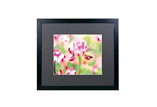 FUJICOLOR 額縁 ワイドマットフレーム M3000 アクリル 4切 木製 ブラック 49199