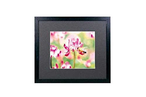 FUJICOLOR 額縁 ワイドマットフレーム M3000 アクリル 4切 木製 ブラック 49203 6,012円