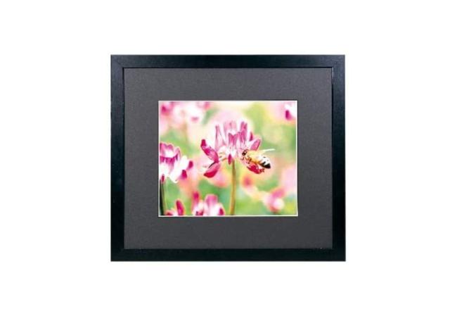 FUJICOLOR 額縁 ワイドマットフレーム M3000 アクリル 半切ノートリ (135) 木製 ブラック 406430 10,776円