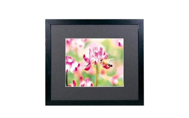 FUJICOLOR 額縁 ワイドマットフレーム M3000 アクリル A3 木製 ブラック 406454の通販は