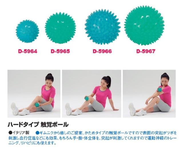 DANNO(ダンノ) ハードタイプ触覚ボール リフレックスボール6 ブルー