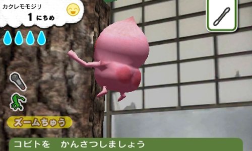 こびとづかん こびと観察セット - 3DSの通販はau PAY マーケット