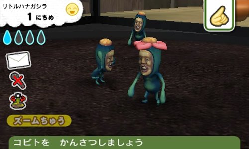 こびとづかん こびと観察セット - 3DSの通販はau PAY マーケット